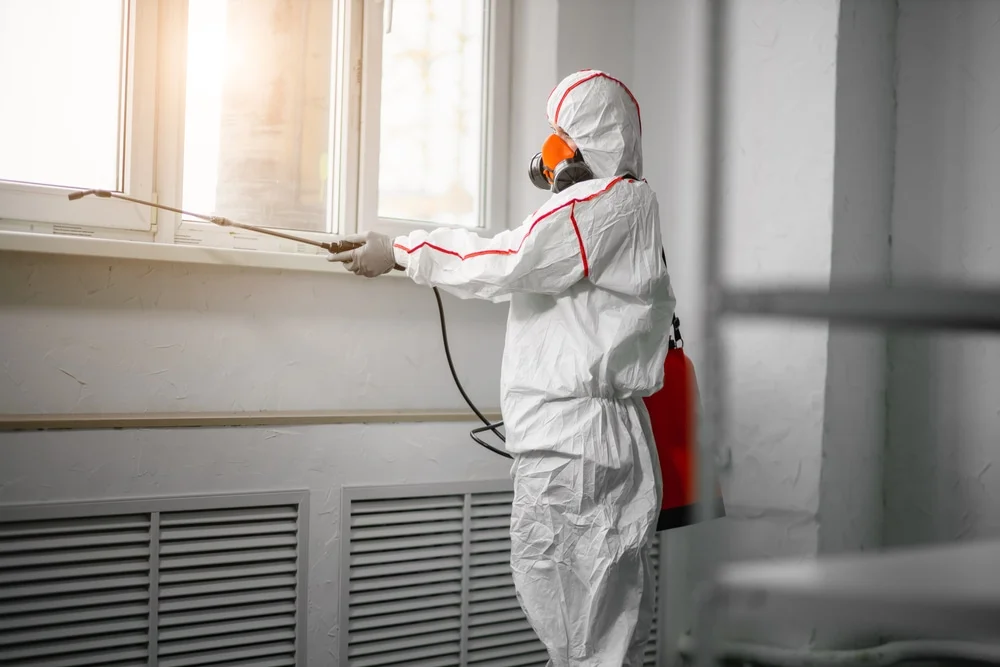 Professional mold remediation services in Nipomo, CA